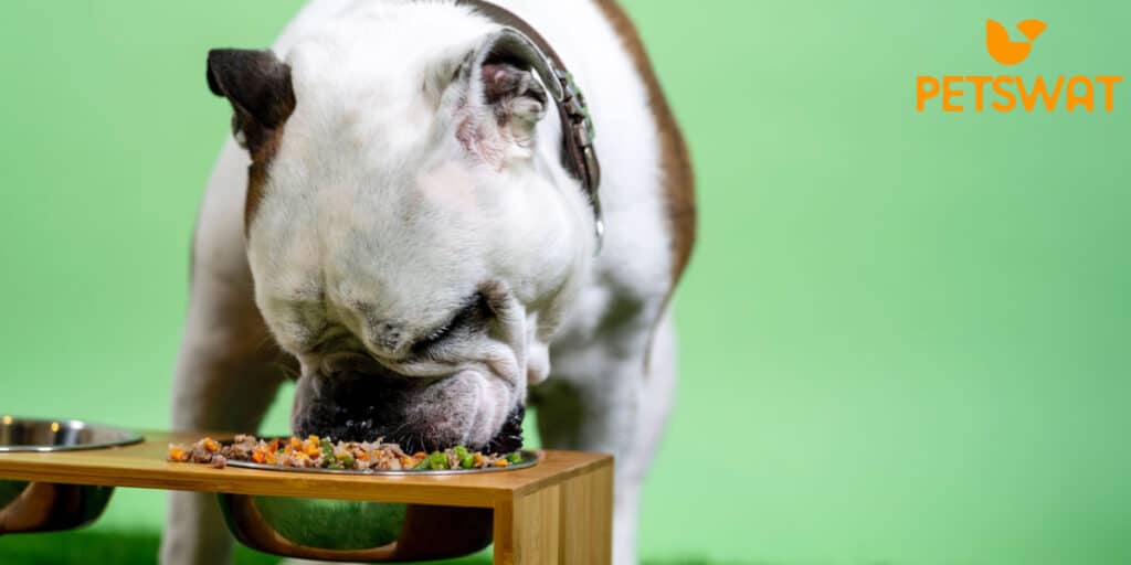 Bulldog Dog Food