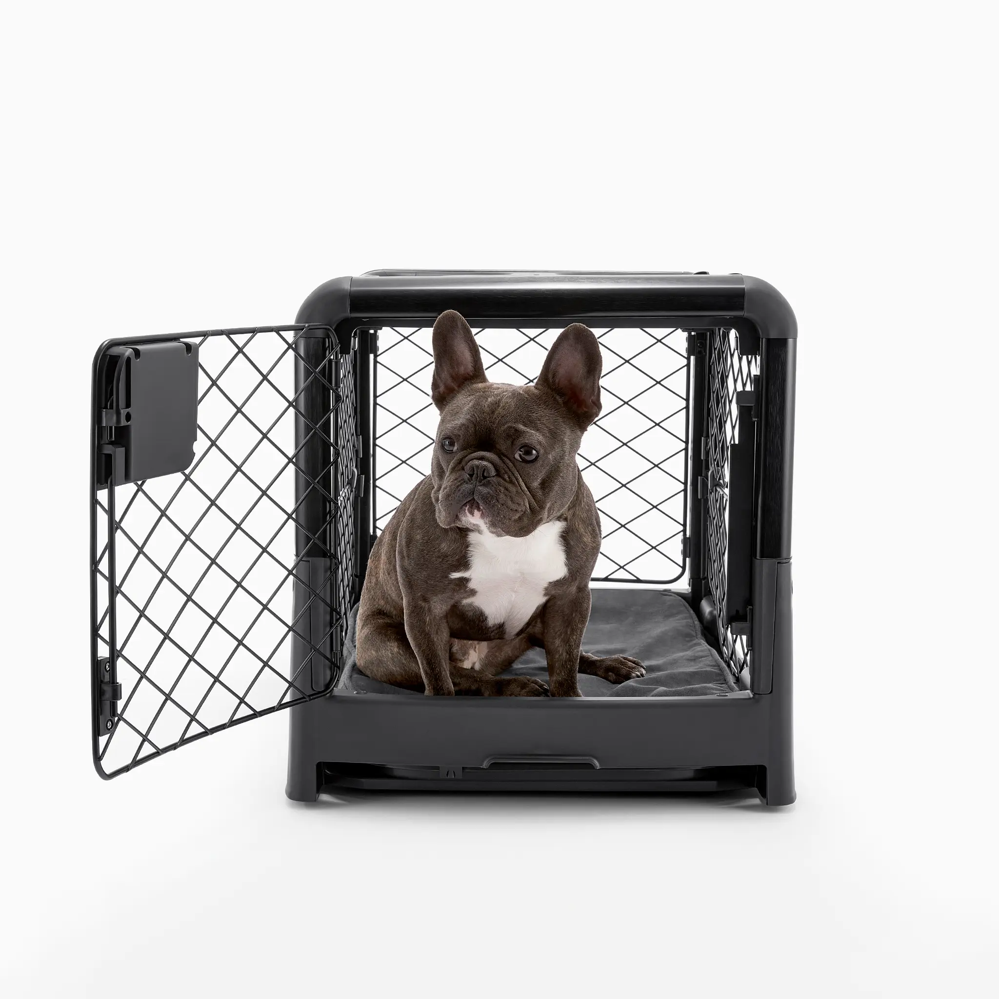 What Size Crate for French Bulldog? Finding the Perfect Fit