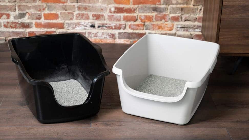 Top Picks for Best Cat Litter Boxes: Ultimate Buying Guide
