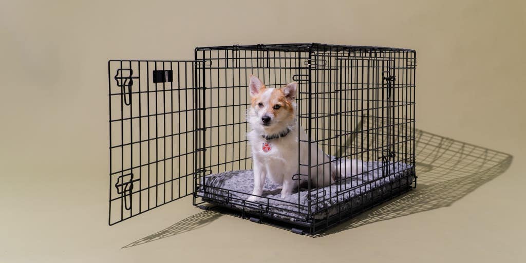 Top Picks for Best Dog Crates: Your Ultimate Buying Guide