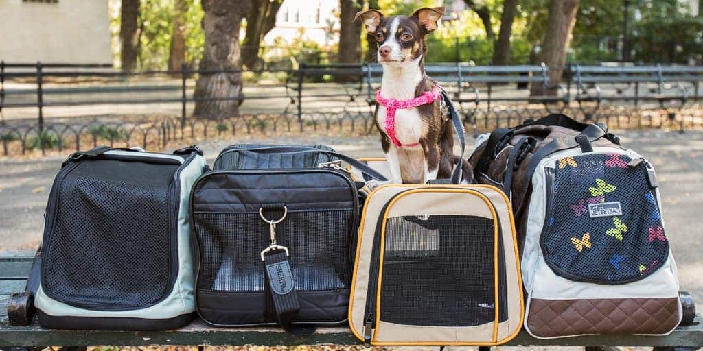 best Dog travel carriers