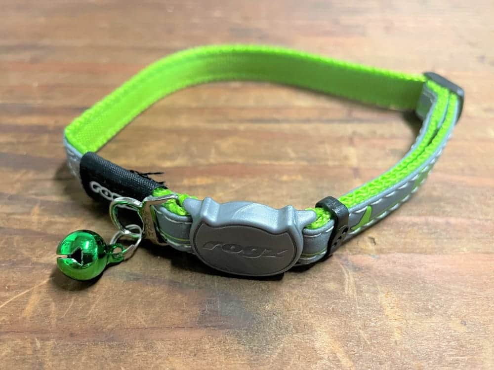 Top Picks for Best Cat Collars: A Buyer's Guide to Feline Fashion