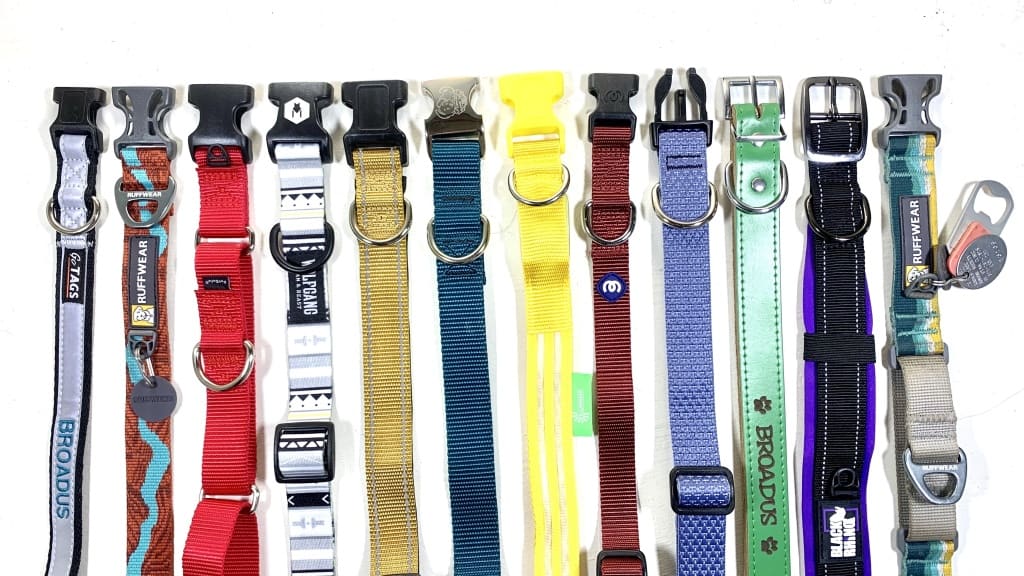 Top Picks for Best Dog Collars: Your Ultimate Buying Guide